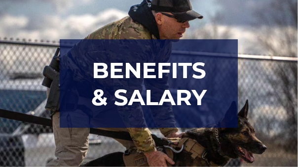 benefits & salary