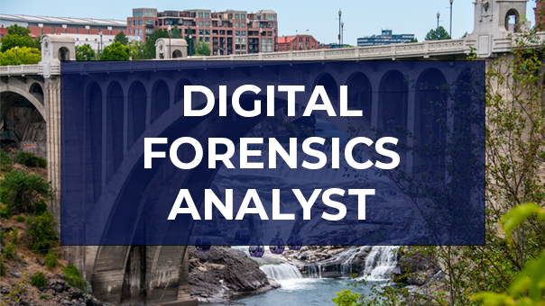 digital-forensics-analyst