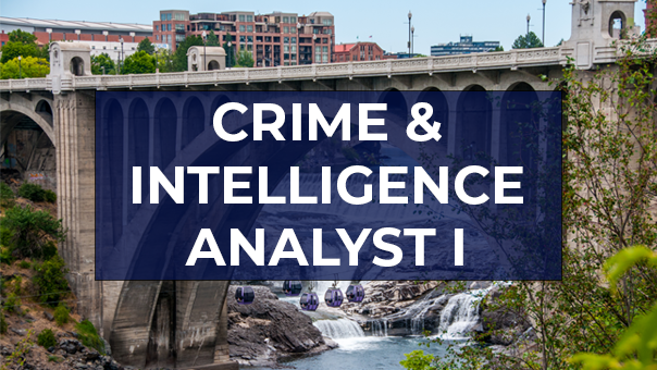 crime and intelligence analyst I